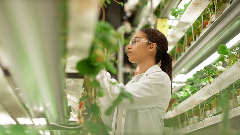 Wissenschaftlerin untersucht Pflanzen in einer kontrollierten Anbauumgebung